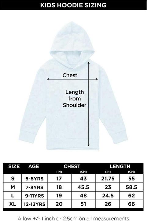 Image du produit Pink Floyd - Sweat à capuche TRIANGLE FRAMES - Enfant (116)