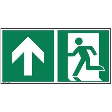 Neutralware, Hausnummer + Türschild, Hinweisschild 30x15 cm (BxH) E001 geradeaus durch die Tür oder aufwärts Hart-PVC