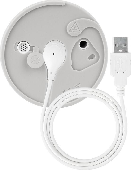 Actual product image Lovense Max 2