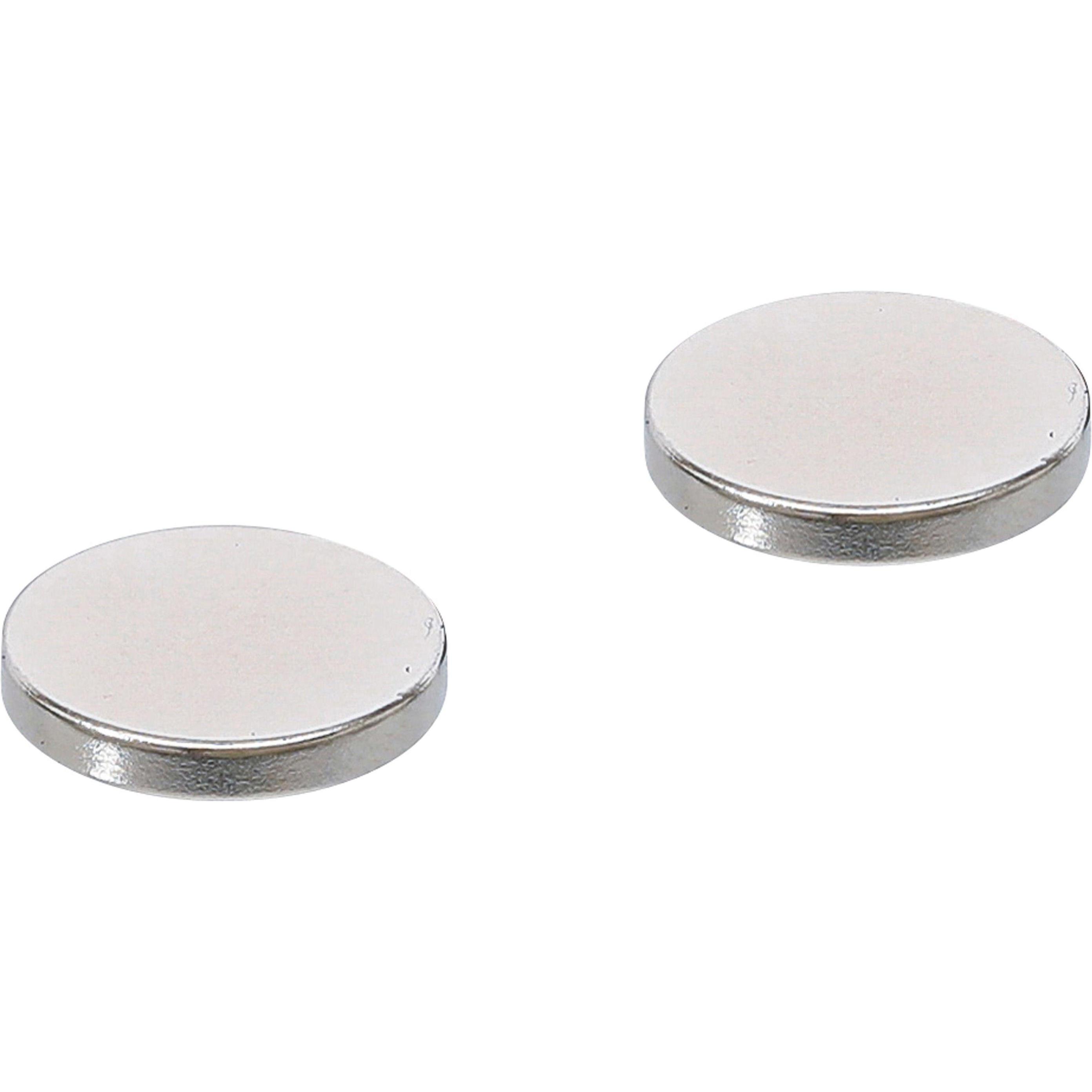 BGS, Magnet, Magnet-Satz (2 x)