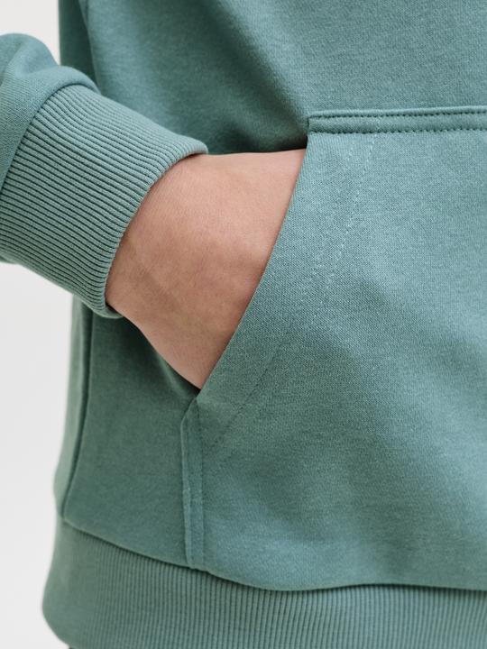 Produktbild Jack & Jones Jjebradley Sweat Hood Noos Jnr (128)