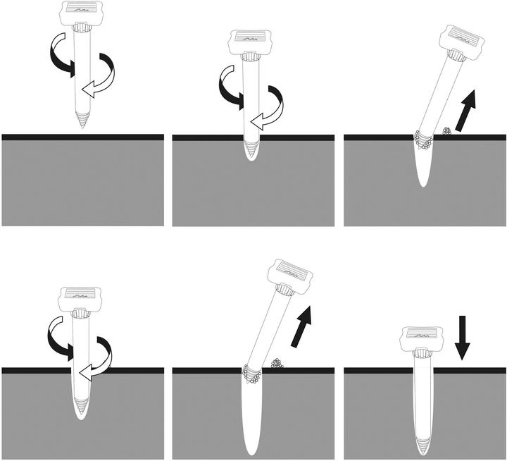 Actual product image Gardigo Wühlmausvertreiber r Wühlmaus Ameisen Abwehr