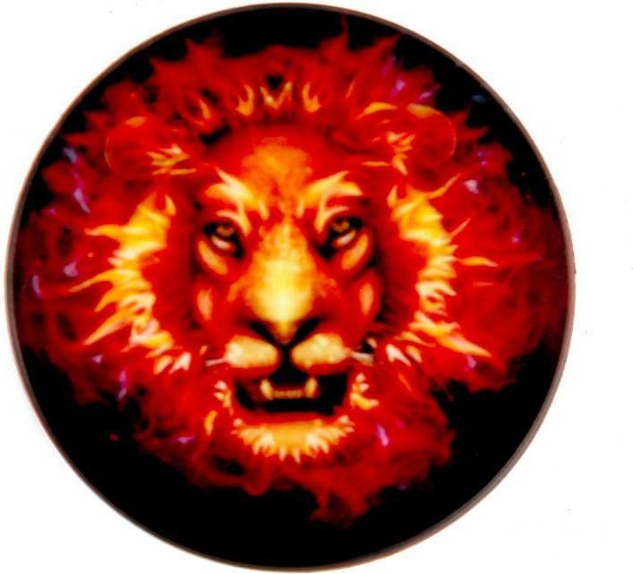 iLike Universal Pop Holder Fire Lion