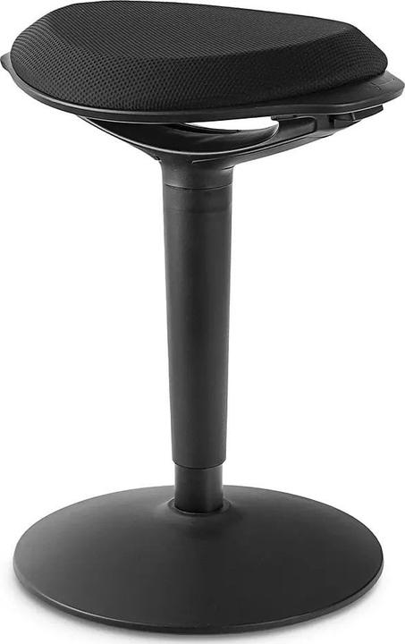 Spacetronik Active ergonomic stool Zippy (black)