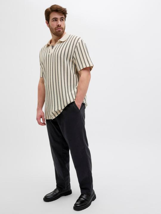 Image du produit Jack & Jones Plus Size Relaxed Fit Relaxed Fit Hosen Relaxed Fit Hosen (44)