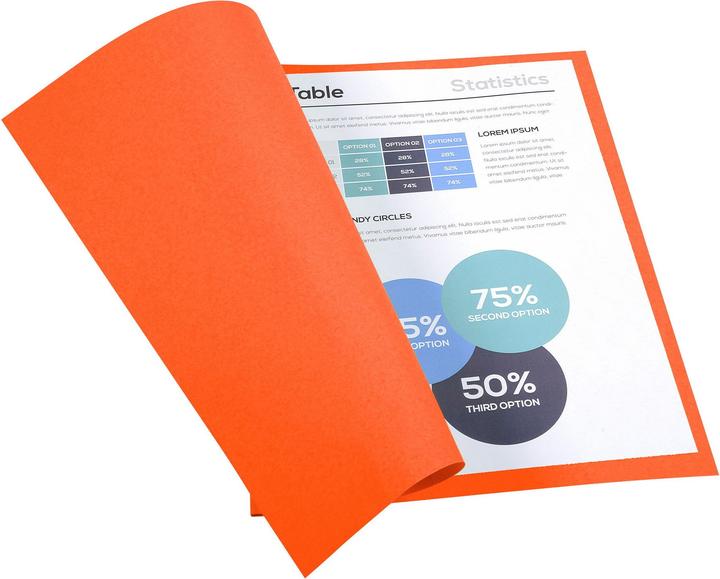 Immagine prodotto Exacompta Scrapbook - Copertine di file (A4, 50x)