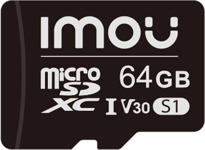 Imou Carte mémoire microSD (UHS-I, SDXC, 10/U3/V30, 95/38) (64 Go, microSD, U1, UHS-I)