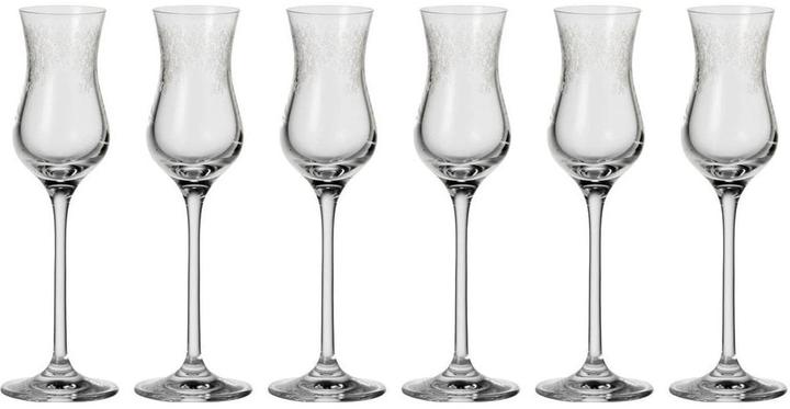 Leonardo Chateau (0.90 dl, 6 x, Likörgläser + Grappagläser)