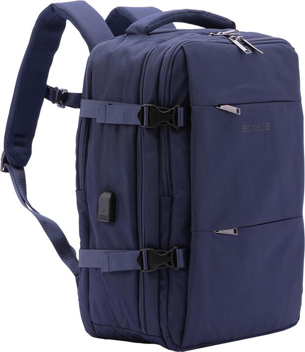 Actual product image B.Cavalli Bc1331 (5.16 l)