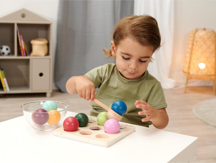 Actual product image Eichhorn EH Sorting balls