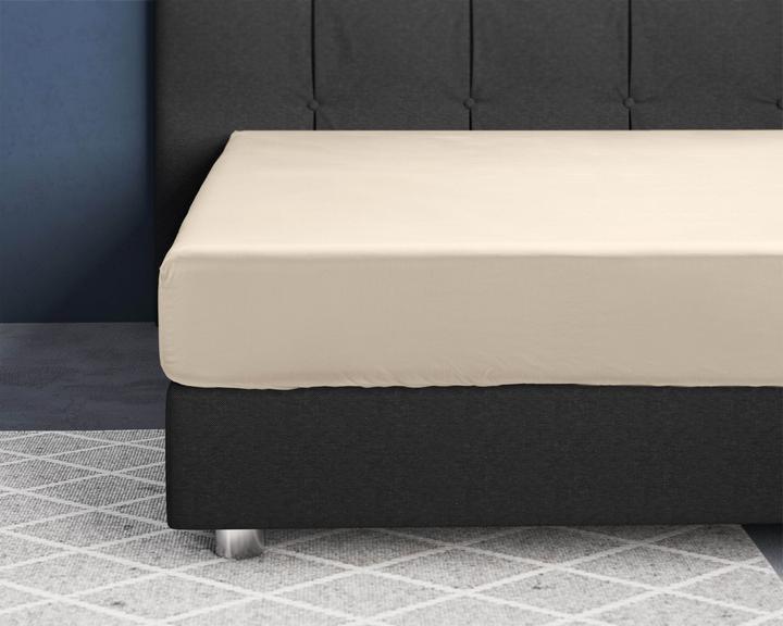 Actual product image Palo Satin fitted sheet (70 x 200 cm)