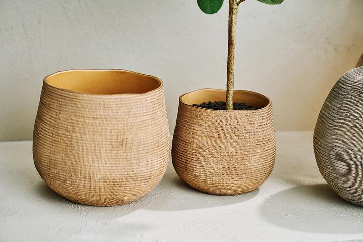 Produktbild edy&liv Synsia (15 x 14 cm)