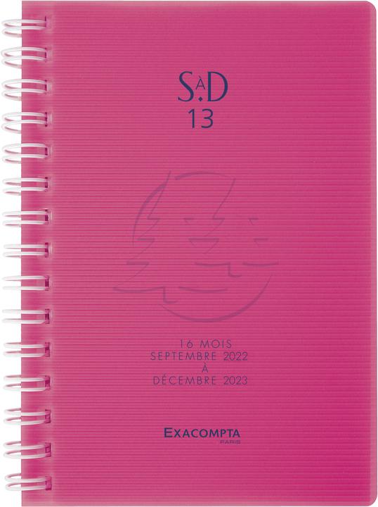 Actual product image Exacompta Pocket Agenda SAD 13W Linicolor (9 x 13 cm, 1 week / 1 page)
