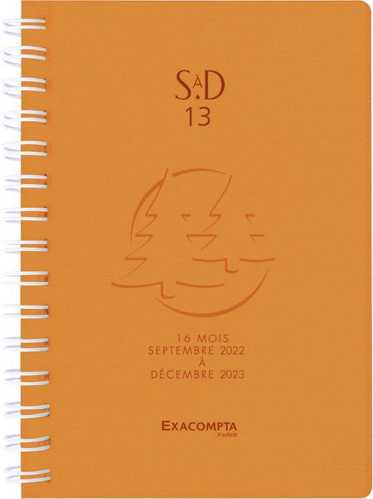 Actual product image Exacompta Pocket Agenda SAD 13W Linicolor (9 x 13 cm, 1 week / 1 page)