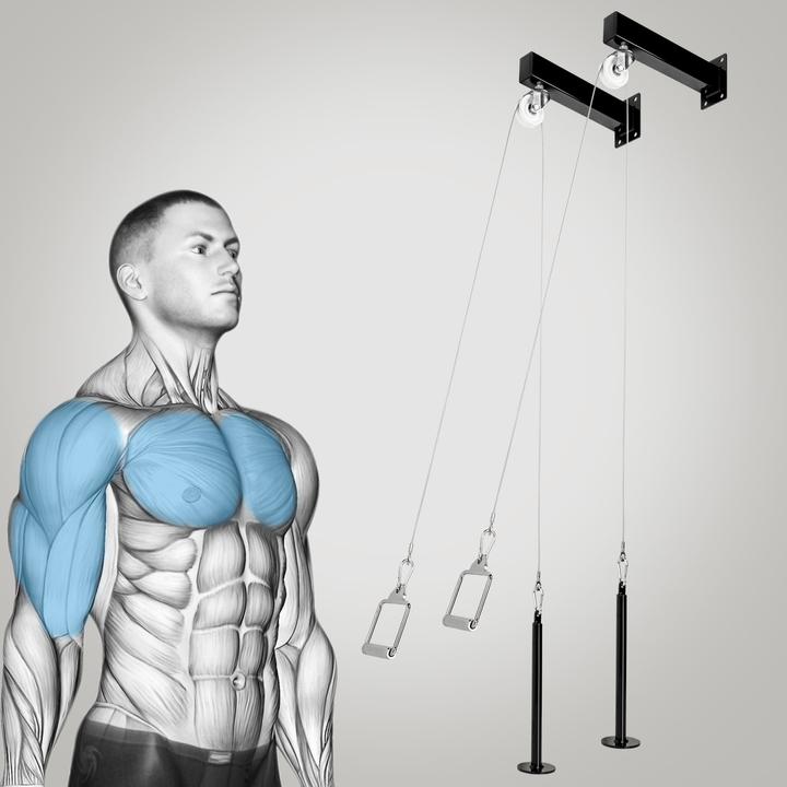 Actual product image CLP Seilzug-System