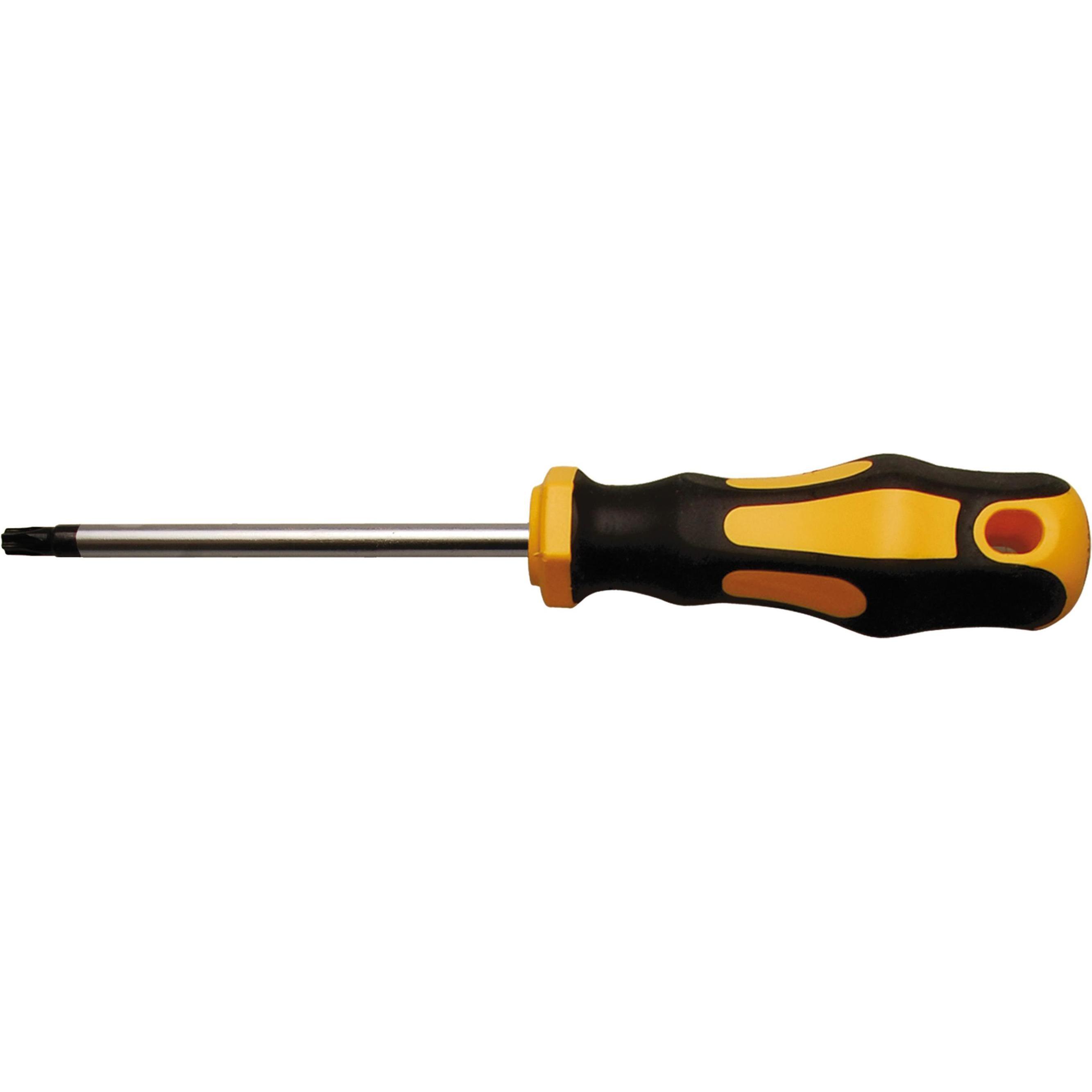 BGS, Schraubenzieher, Schraubendreher T-Profil (für Torx) T30 Klingenlänge 100 mm (T-profil)