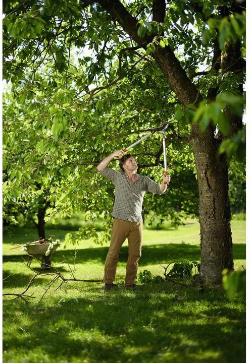 Image du produit Wolf-Garten Ciseaux à branches