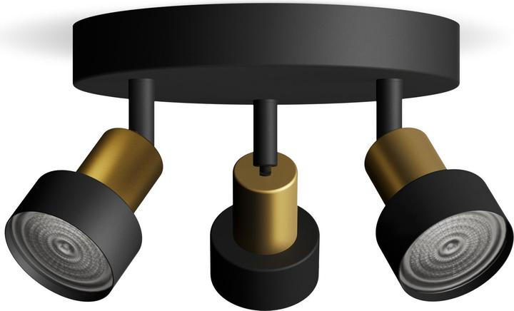 Produktbild Philips Conduit (GU10)