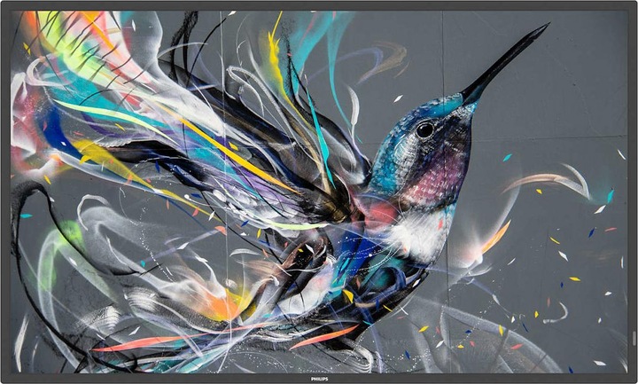 Image du produit Philips Q-Line (3840 x 2160 pixels, 43")
