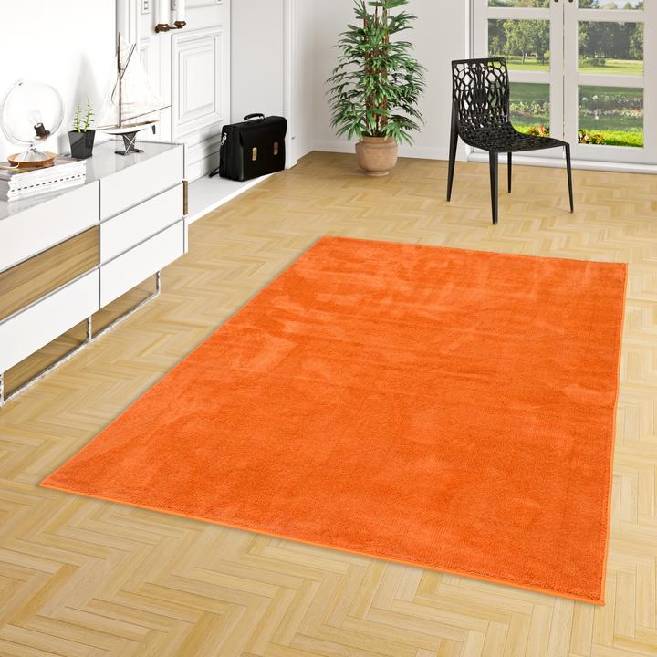 Actual product image Pergamon Luxus Super Soft Hochflor Langflor Teppich Melia (140 x 200 cm)