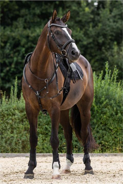 Actual product image Kerbl Vorderzeug schwarz, Cob