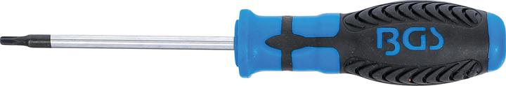 Actual product image BGS Screwdriver T-Star (for Torx) T15 Blade Length 80 mm