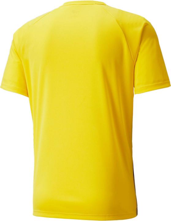 Actual product image Puma teamLIGA Striped Jersey-704920 (L)