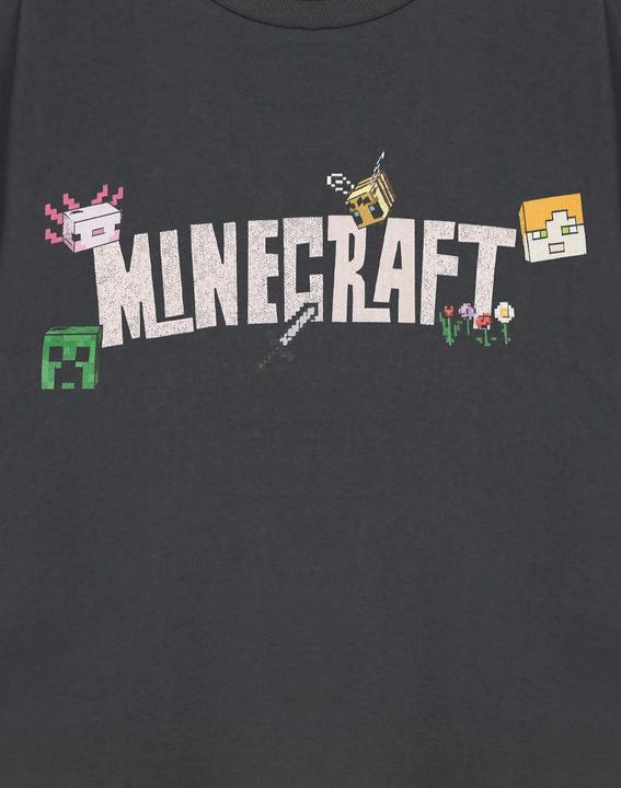 Image du produit Minecraft - T-shirt manches courtes - Femme (M)