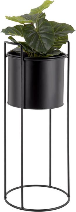 Produktbild present time Set Essence (28 x 80 cm)