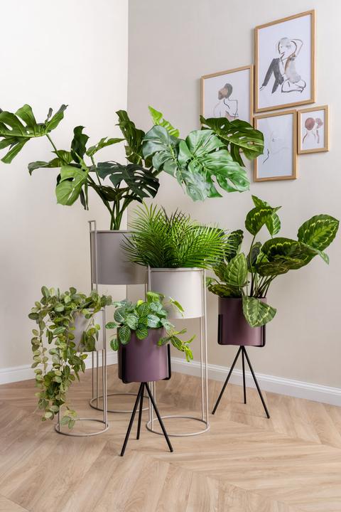 Produktbild present time Set Essence Straight (51 x 24 x 65 cm)