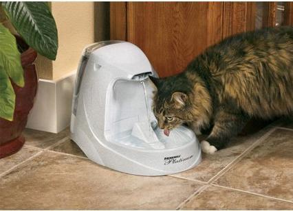 Actual product image PetSafe Platinum (500 cl)