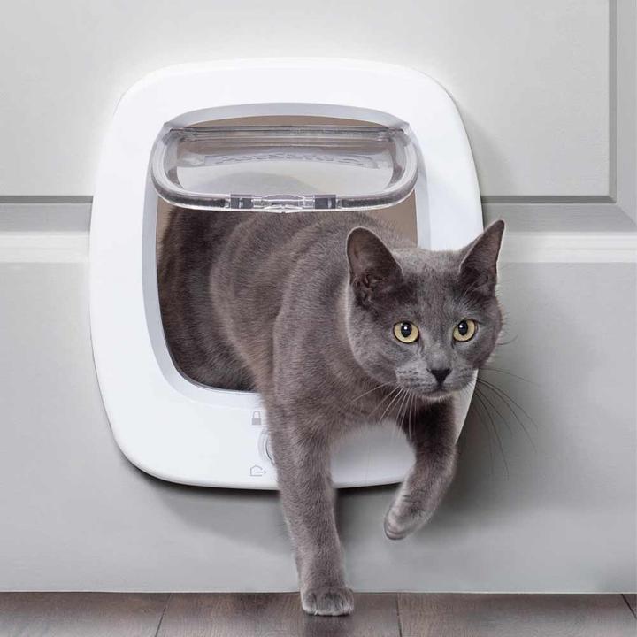 Actual product image PetSafe KATZENKlappe BIG CAT 2.0 KLAPPE (Manual cat flap)