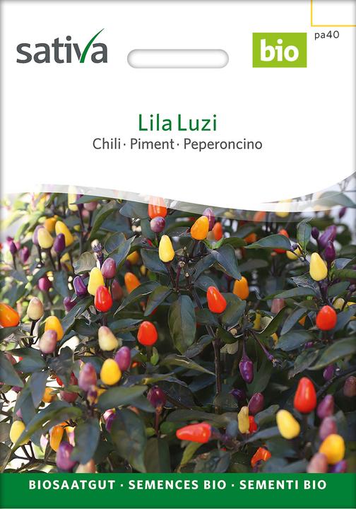 Produktbild Sativa Lila Luzi – Chilli Bio (Gemüsesamen)
