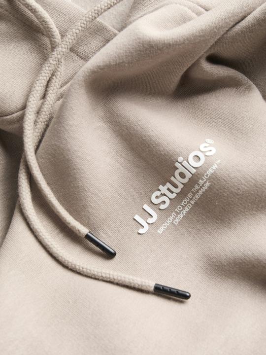 Produktbild Jack & Jones Jjesoho Sweat Hood Noos (S)