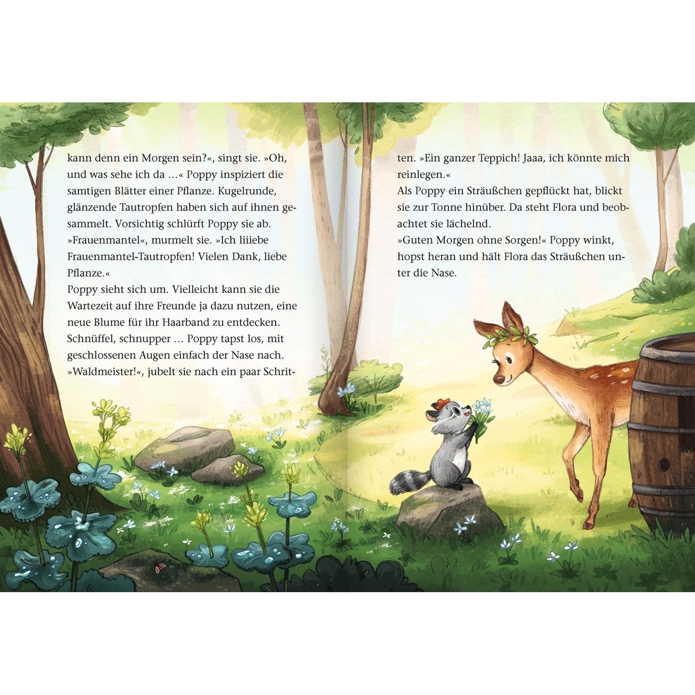 Thumbnail - Die wilden Waldhelden. Kuscheltier vermisst!, Kinderbücher von Andrea Schütze, Carola Sieverding