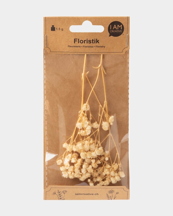 I Am Creative Gypsophila essiccata (Fiori secchi)