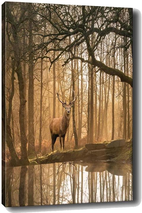 Wallxpert Jade (50 x 70 cm)