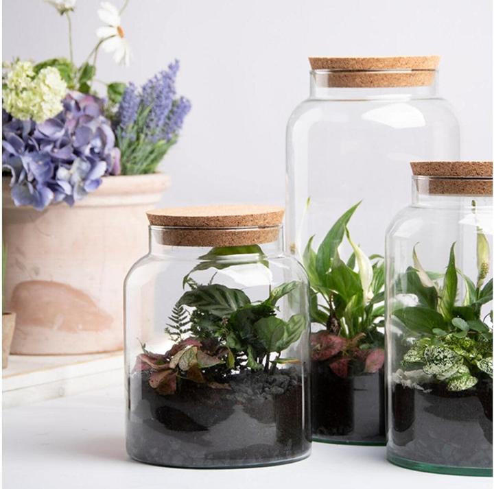 Esschert Design Terrarium Bottle S