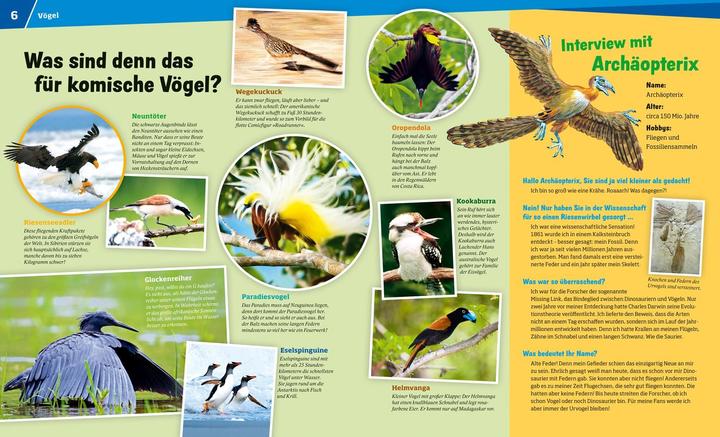 Produktbild Tessloff Vögel (Deutsch, Alexandra Werdes, Frank Kliemt, Reiner Zieger, 2014)