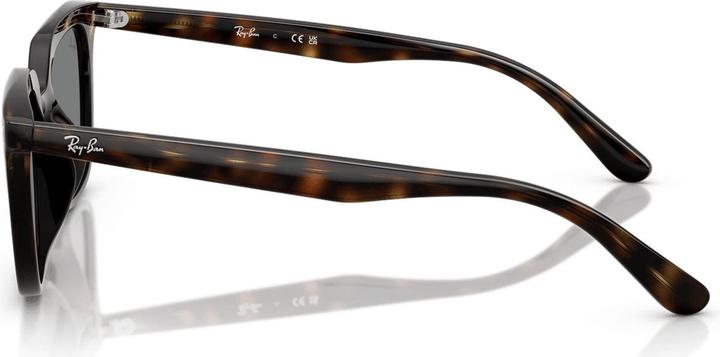 Produktbild Ray Ban RB4439D