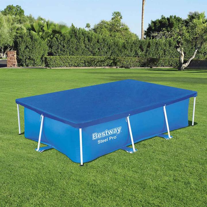 Actual product image Bestway Laila