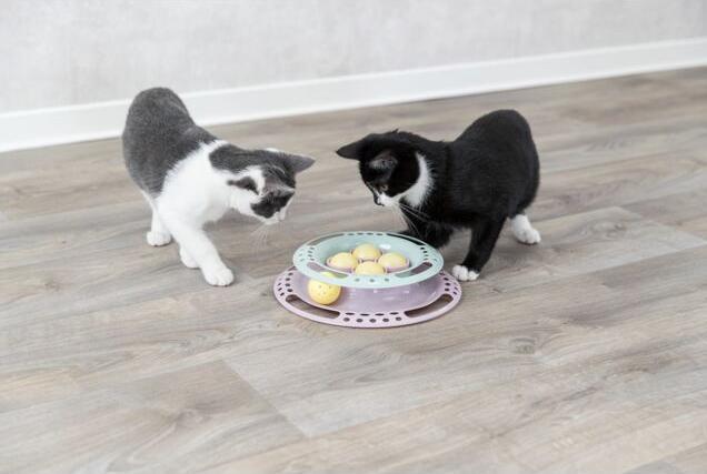Produktbild Trixie Junior Kitten Circle (Spielangel Katze)