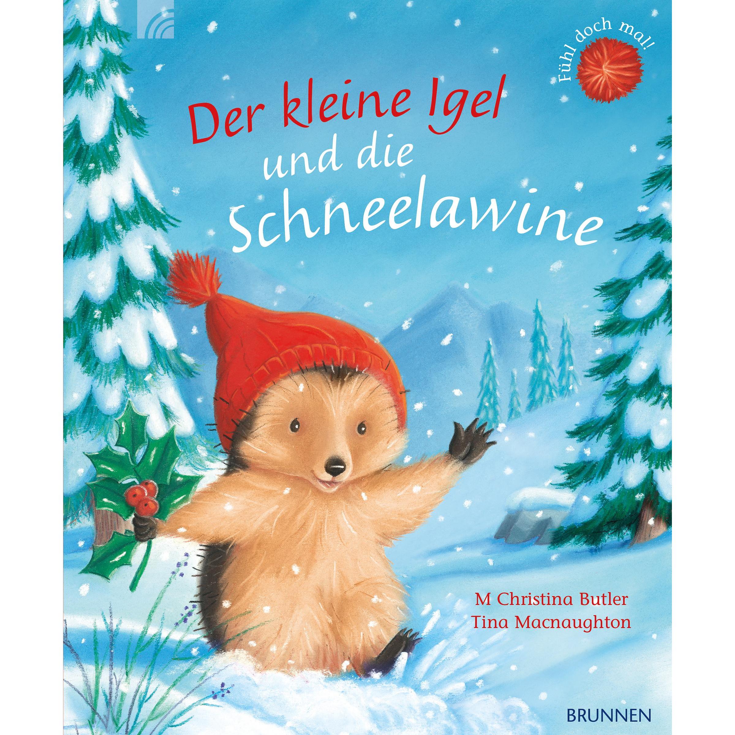 Der kleine Igel und die Schneelawine, Kinderbücher von M Christina Butler