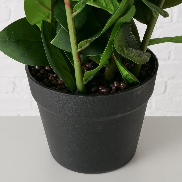 Actual product image Boltze Home Zamioculcas (76 cm)