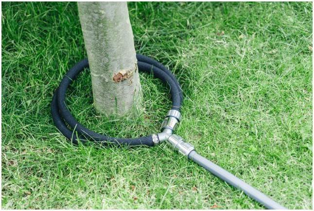 Immagine prodotto Geka Set di irrigazione per alberi Plus (Tubo di gocciolamento + tubo di gocciolamento)