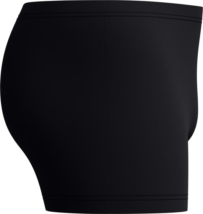 Image du produit Speedo Medley Logo Aquashort (32)