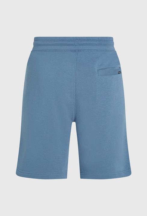 Actual product image O'Neill Small Logo Sweatshorts (S)
