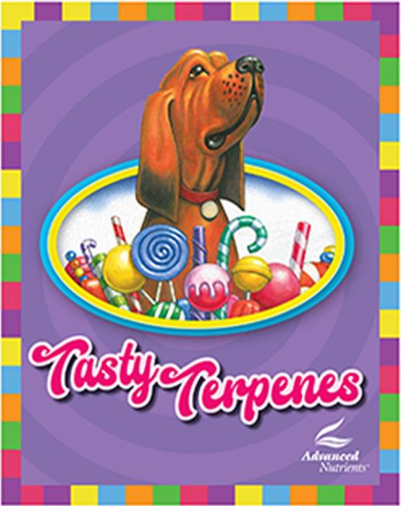 Produktbild Advanced Nutrients Tasty Terpenes 250ml (0.30 kg, 0.25 l)