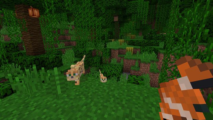Productafbeelding Nintendo Minecraft (Switch)
