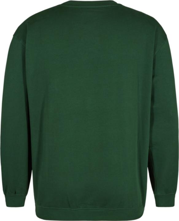 Actual product image F. Engel Extend sweatshirt (XL)